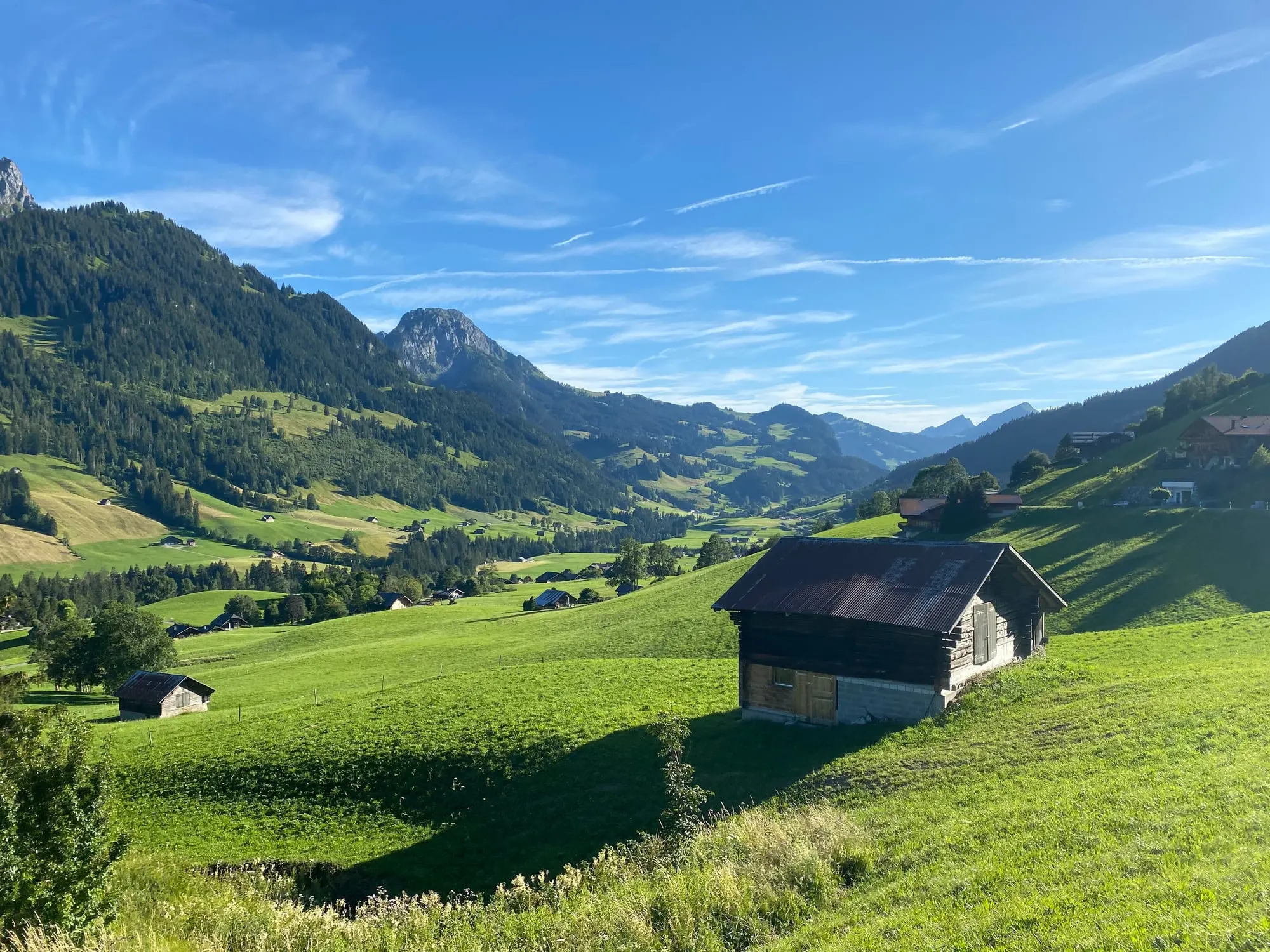 Green Saanenland valley near Gstaad in summer