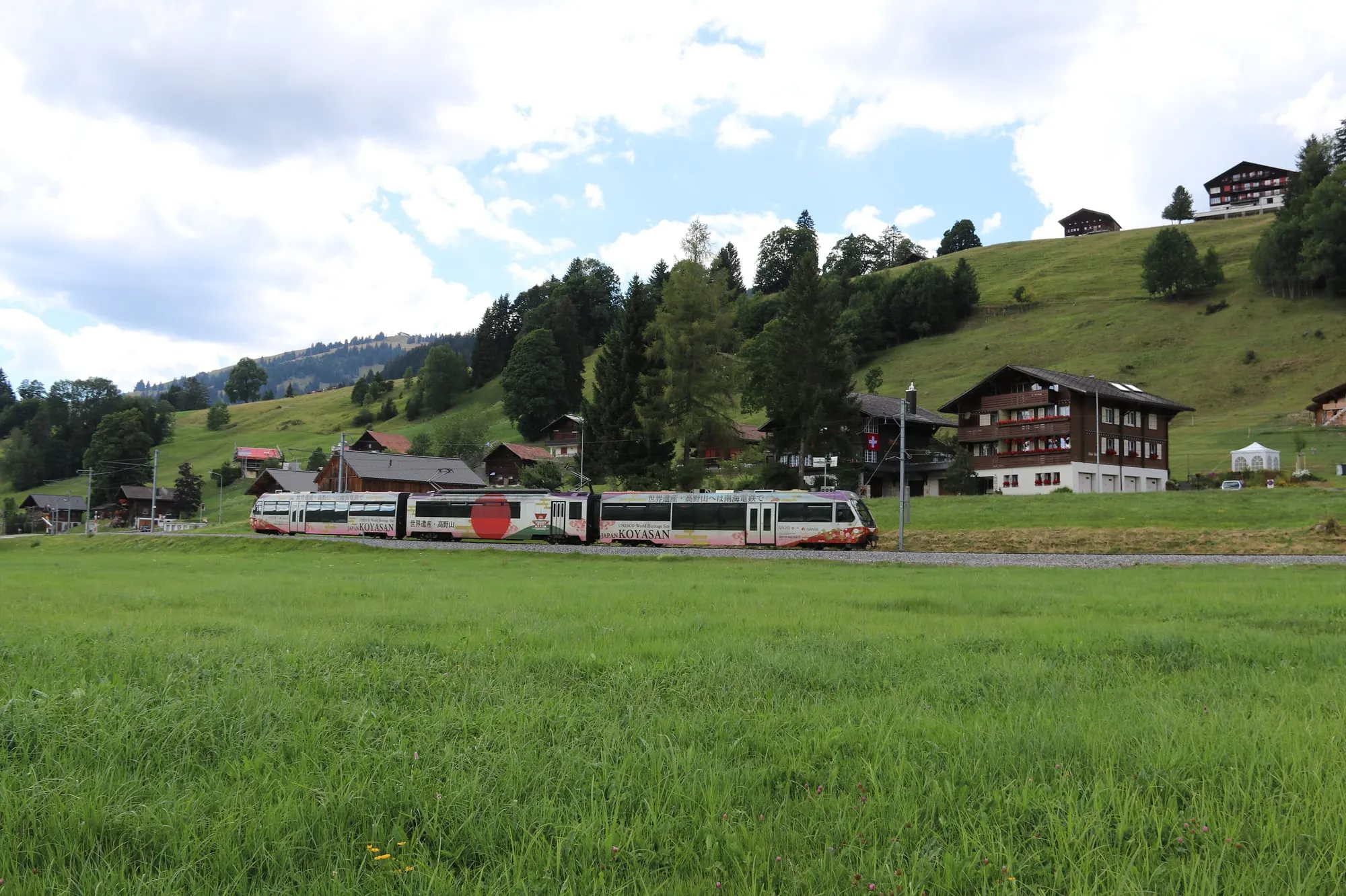 Schönried chalets on a green hillside in summer